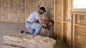 Best Soundproof Insulation  in Fannett, TX